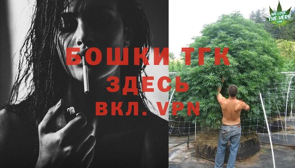 прущие крисы Аркадак